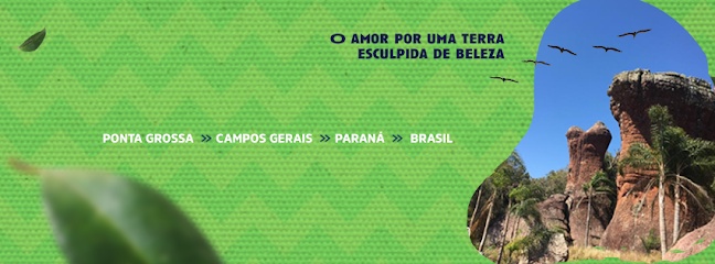 Aracê Turismo