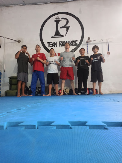 Academia de Artes Marciais Team Ramires