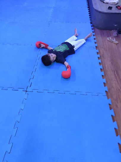 Seishin Dojo