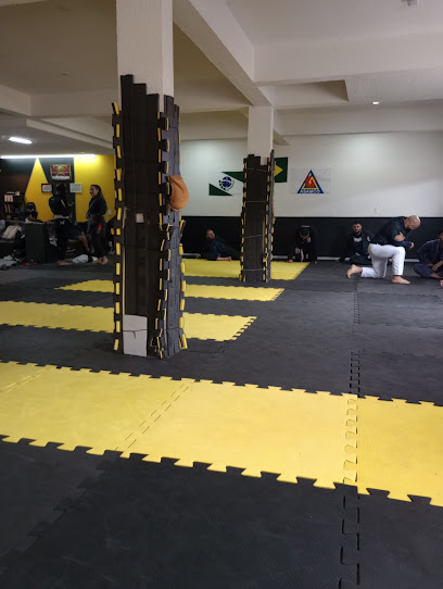 Lokomotiv Jiu-Jitsu