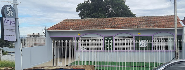 Anjos Saúde Animal PG