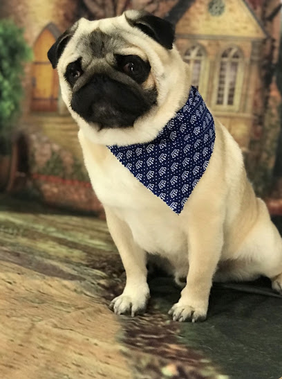 Clínica Veterinária Emporium Pet 24 horas