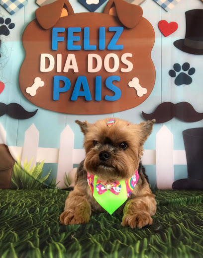 Petland Oficinas