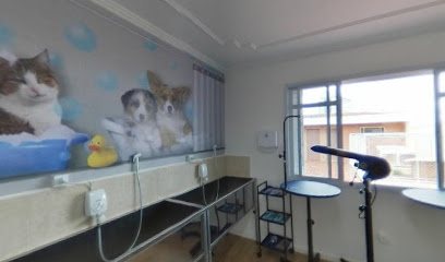 Cliniponta Clínica Veterinária