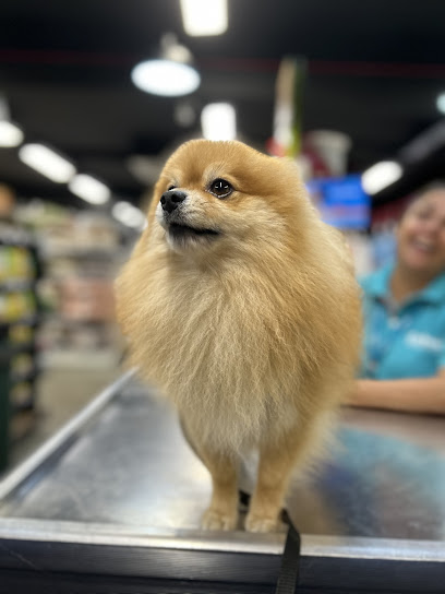 Vila Vet Clínica Veterinária